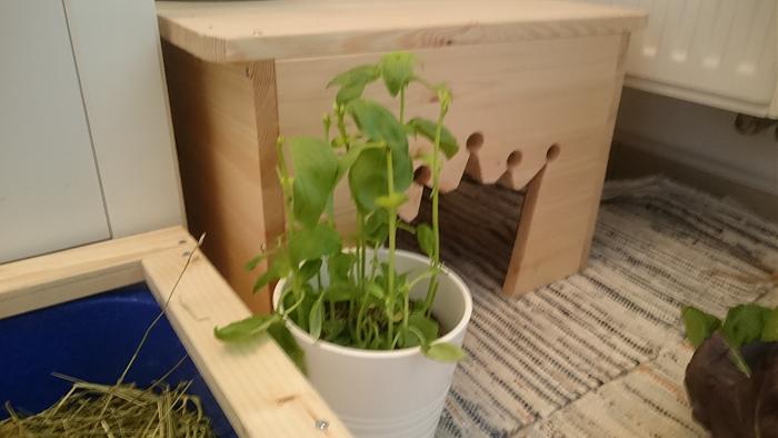 Klicke auf die Grafik fr eine grere Ansicht

Name:	DSC_0006.jpg
Hits:	0
Gre:	282,7 KB
ID:	178048