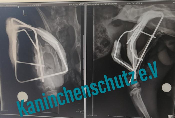 Klicke auf die Grafik fr eine grere Ansicht

Name:	PSX_20190924_100627.jpg
Hits:	2
Gre:	295,9 KB
ID:	178325