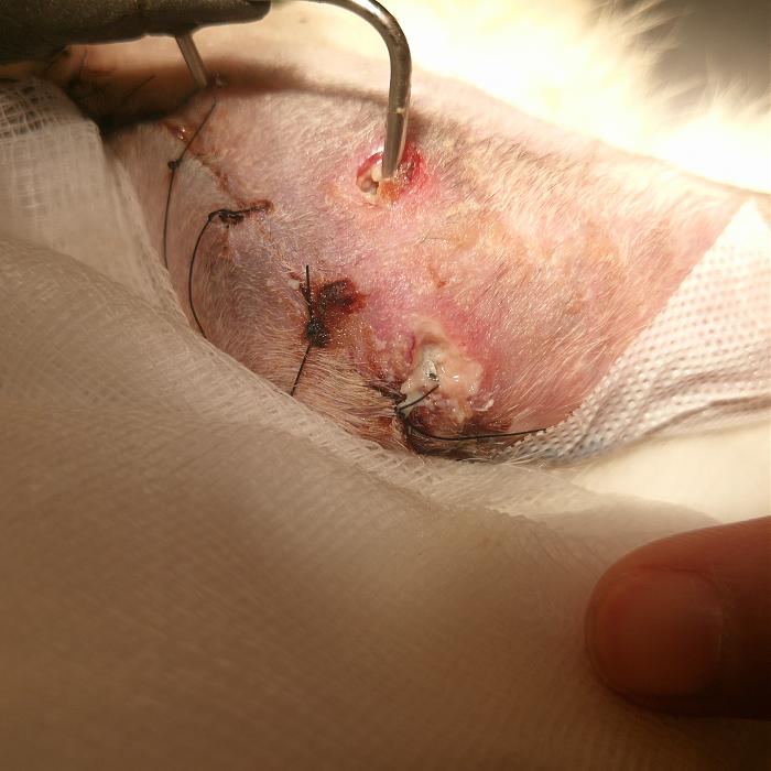 Klicke auf die Grafik f�r eine gr��ere Ansicht

Name:	IMG_20190930_190201_492.jpg
Hits:	0
Gr��e:	293,5 KB
ID:	178488