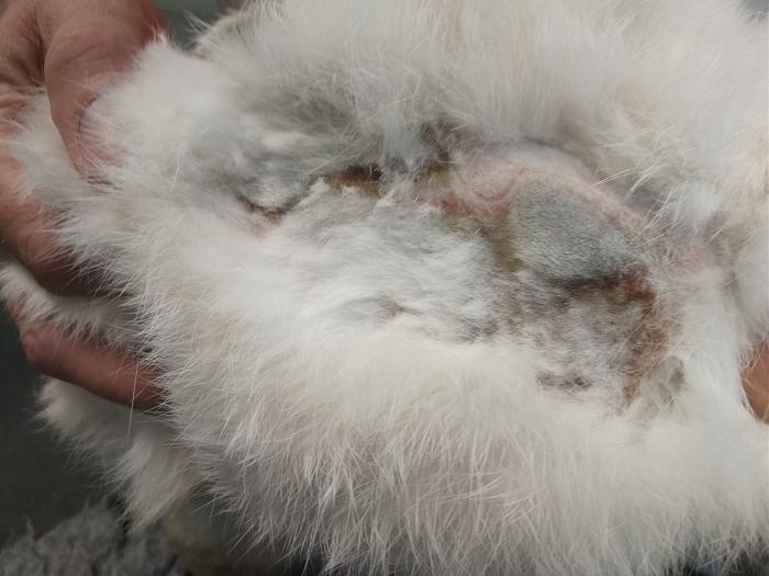 Klicke auf die Grafik f�r eine gr��ere Ansicht

Name:	IMG_20191001_090915.jpg
Hits:	1
Gr��e:	299,4 KB
ID:	178544