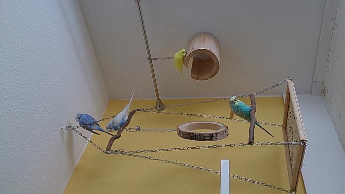 Klicke auf die Grafik f�r eine gr��ere Ansicht

Name:	IMG_20191003_122923.jpg
Hits:	0
Gr��e:	187,0 KB
ID:	178583