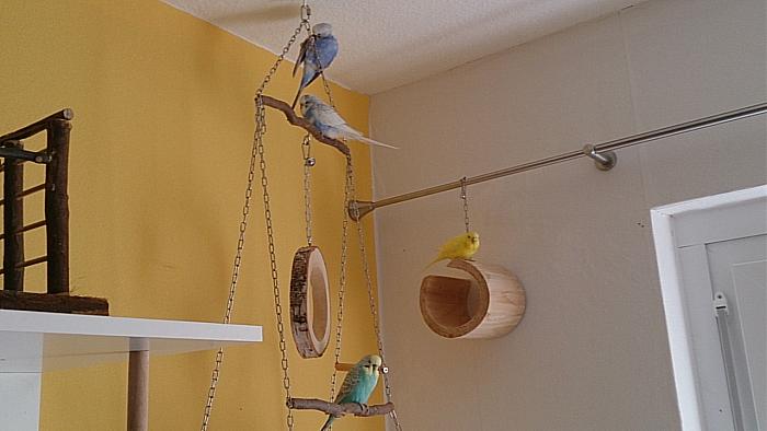 Klicke auf die Grafik f�r eine gr��ere Ansicht

Name:	IMG_20191003_122935.jpg
Hits:	0
Gr��e:	175,4 KB
ID:	178584