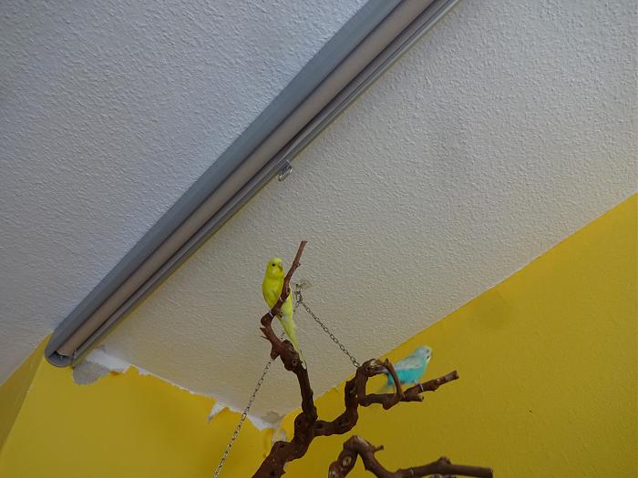 Klicke auf die Grafik f�r eine gr��ere Ansicht

Name:	Tapete.jpg
Hits:	1
Gr��e:	286,9 KB
ID:	178590