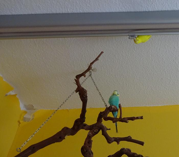 Klicke auf die Grafik f�r eine gr��ere Ansicht

Name:	Tapoete.jpg
Hits:	0
Gr��e:	135,2 KB
ID:	178591