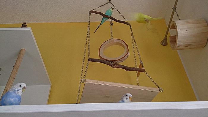 Klicke auf die Grafik f�r eine gr��ere Ansicht

Name:	IMG_20191005_142712.jpg
Hits:	0
Gr��e:	184,3 KB
ID:	178604