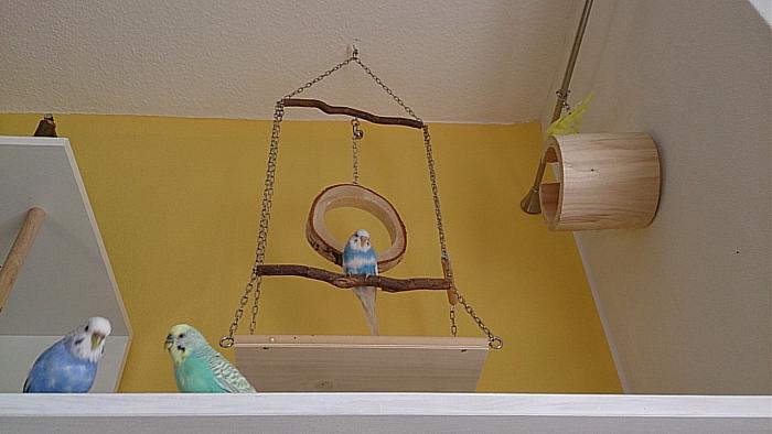 Klicke auf die Grafik f�r eine gr��ere Ansicht

Name:	IMG_20191005_142410.jpg
Hits:	0
Gr��e:	175,8 KB
ID:	178605