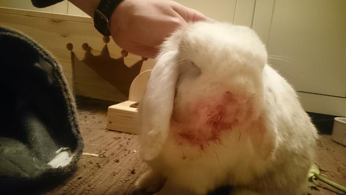 Klicke auf die Grafik fr eine grere Ansicht

Name:	DSC_0565.jpg
Hits:	0
Gre:	294,9 KB
ID:	179515