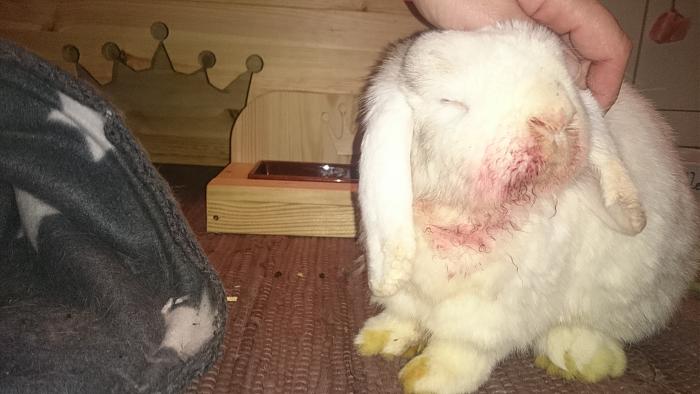 Klicke auf die Grafik fr eine grere Ansicht

Name:	DSC_0564.jpg
Hits:	0
Gre:	296,5 KB
ID:	179516