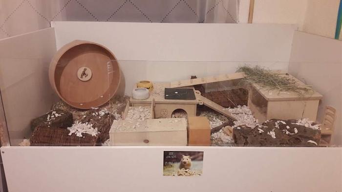 Klicke auf die Grafik fr eine grere Ansicht

Name:	Opiums Zuhause.jpg
Hits:	0
Gre:	50,5 KB
ID:	180999