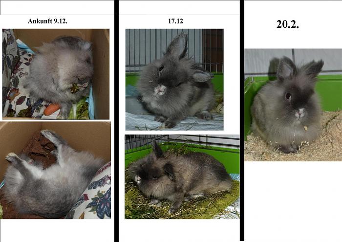 Klicke auf die Grafik fr eine grere Ansicht

Name:	Flori.jpg
Hits:	3
Gre:	225,8 KB
ID:	181302
