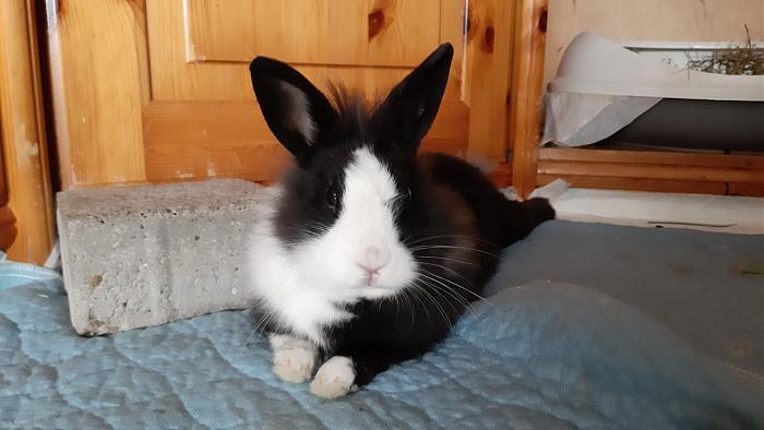 Klicke auf die Grafik fr eine grere Ansicht

Name:	20200315_103210.jpg
Hits:	0
Gre:	261,9 KB
ID:	181825