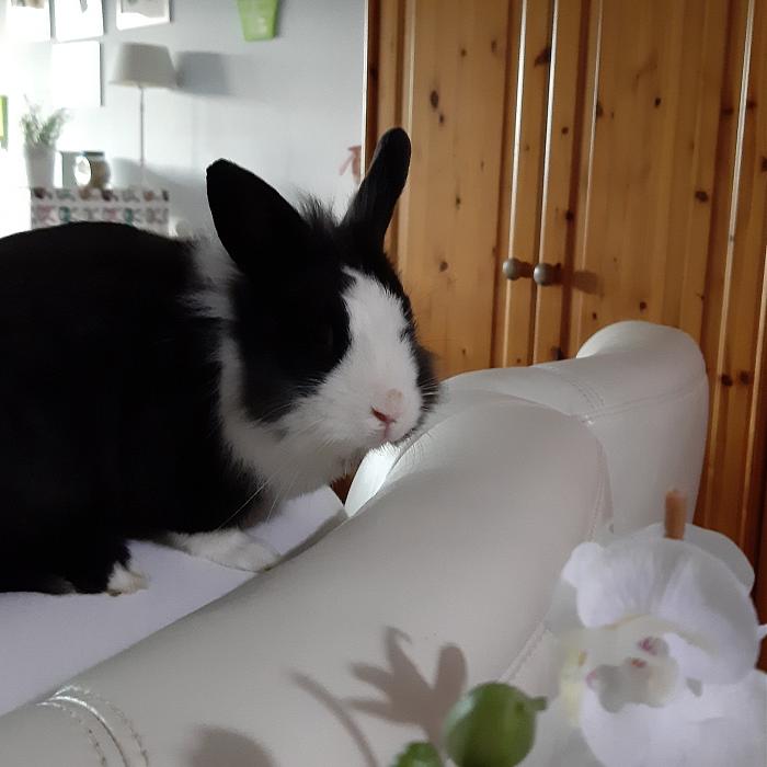 Klicke auf die Grafik fr eine grere Ansicht

Name:	IMG_20200315_083717_444.jpg
Hits:	0
Gre:	229,9 KB
ID:	181826