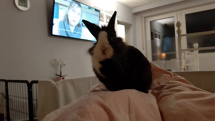 Klicke auf die Grafik fr eine grere Ansicht

Name:	20200313_190932.jpg
Hits:	0
Gre:	209,4 KB
ID:	181827