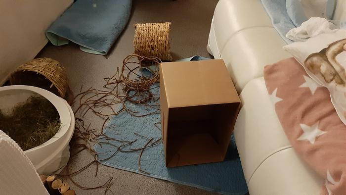 Klicke auf die Grafik fr eine grere Ansicht

Name:	20200312_200105.jpg
Hits:	0
Gre:	282,3 KB
ID:	181829