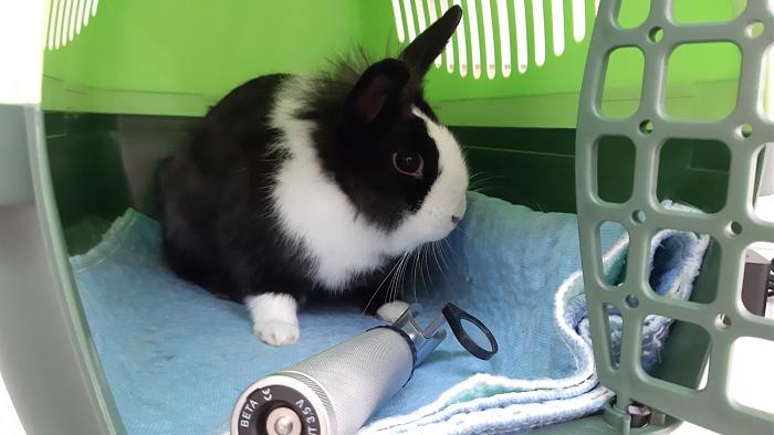 Klicke auf die Grafik fr eine grere Ansicht

Name:	20200319_075837.jpg
Hits:	0
Gre:	236,4 KB
ID:	181954