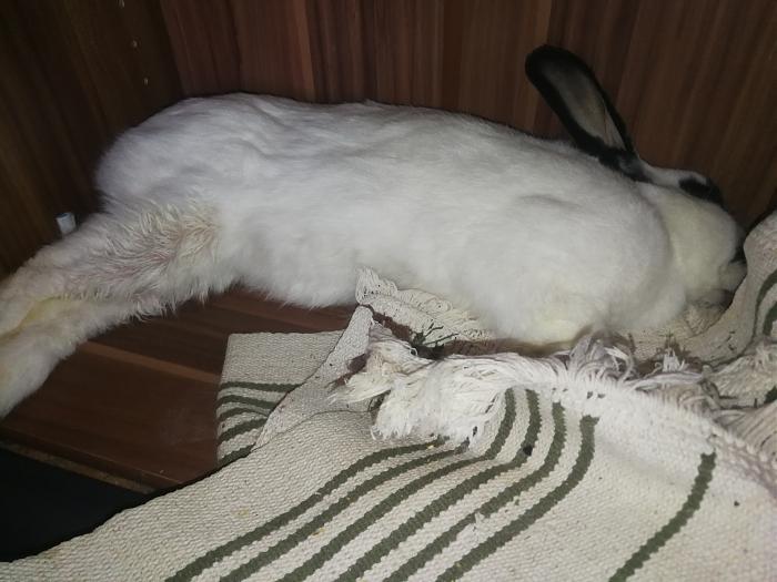 Klicke auf die Grafik f�r eine gr��ere Ansicht

Name:	IMG_20200401_152257.jpg
Hits:	0
Gr��e:	301,5 KB
ID:	182179