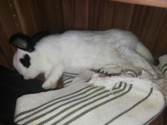 Klicke auf die Grafik f�r eine gr��ere Ansicht

Name:	IMG_20200401_145522.jpg
Hits:	0
Gr��e:	298,8 KB
ID:	182180