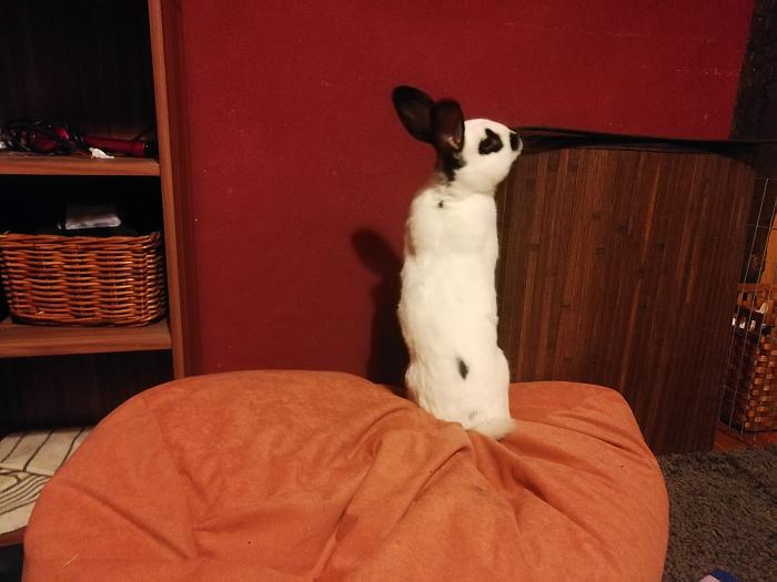 Klicke auf die Grafik f�r eine gr��ere Ansicht

Name:	IMG_20200403_220514.jpg
Hits:	0
Gr��e:	299,5 KB
ID:	182241