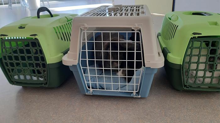 Klicke auf die Grafik fr eine grere Ansicht

Name:	20200401_090659.jpg
Hits:	0
Gre:	280,2 KB
ID:	182256