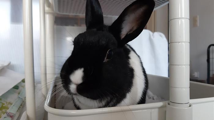 Klicke auf die Grafik fr eine grere Ansicht

Name:	20200404_100755 (2020-04-04T10_07_55.000).jpg
Hits:	0
Gre:	185,0 KB
ID:	182257