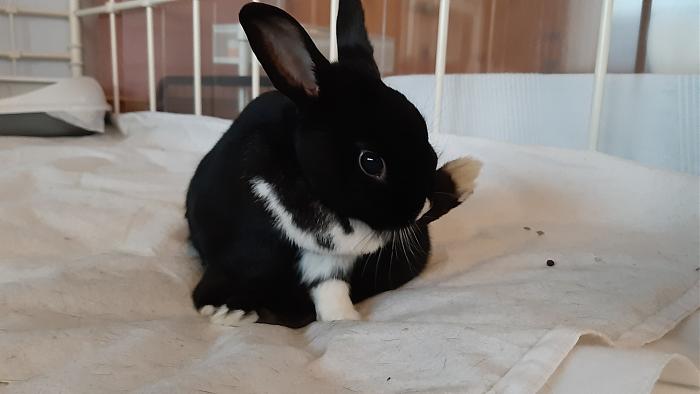 Klicke auf die Grafik fr eine grere Ansicht

Name:	20200402_071454.jpg
Hits:	0
Gre:	177,4 KB
ID:	182258