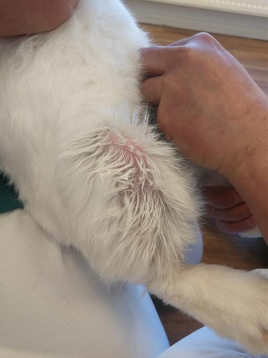 Klicke auf die Grafik f�r eine gr��ere Ansicht

Name:	IMG_20200408_180825.jpg
Hits:	0
Gr��e:	207,8 KB
ID:	182314