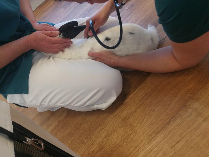 Klicke auf die Grafik f�r eine gr��ere Ansicht

Name:	IMG_20200408_180453.jpg
Hits:	0
Gr��e:	300,2 KB
ID:	182315