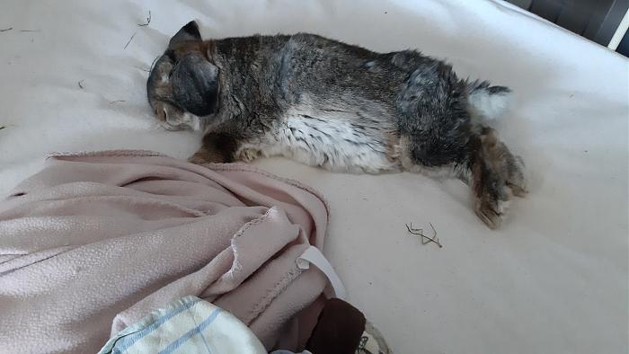 Klicke auf die Grafik fr eine grere Ansicht

Name:	20200411_135520.jpg
Hits:	0
Gre:	277,2 KB
ID:	182418