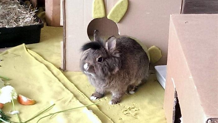 Klicke auf die Grafik fr eine grere Ansicht

Name:	IMG-20171213-WA0001.jpg
Hits:	0
Gre:	63,2 KB
ID:	182468