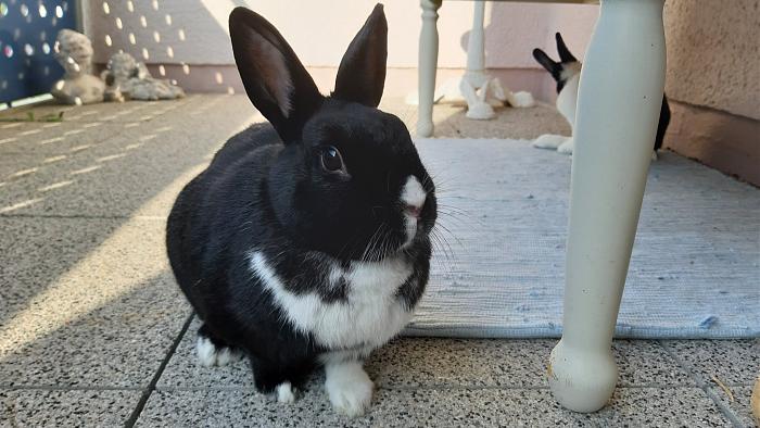 Klicke auf die Grafik fr eine grere Ansicht

Name:	20200419_085343.jpg
Hits:	0
Gre:	253,1 KB
ID:	182646