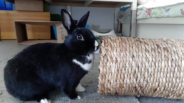 Klicke auf die Grafik fr eine grere Ansicht

Name:	20200426_090103.jpg
Hits:	9
Gre:	242,9 KB
ID:	182772