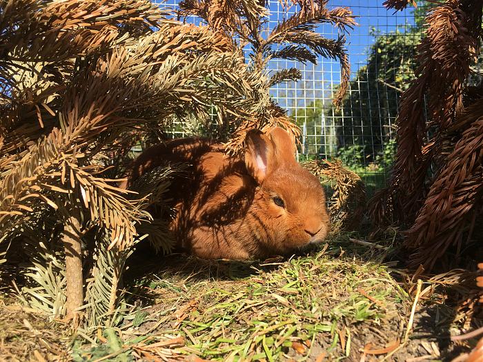 Klicke auf die Grafik f�r eine gr��ere Ansicht

Name:	96B367E2-005E-41CC-96AE-1C43D677F22F.jpg
Hits:	0
Gr��e:	145,3 KB
ID:	182795