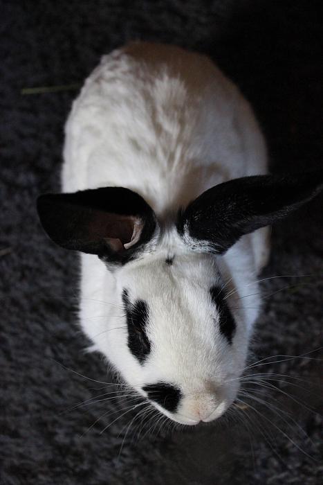 Klicke auf die Grafik f�r eine gr��ere Ansicht

Name:	IMG_5538.jpg
Hits:	1
Gr��e:	168,7 KB
ID:	182869