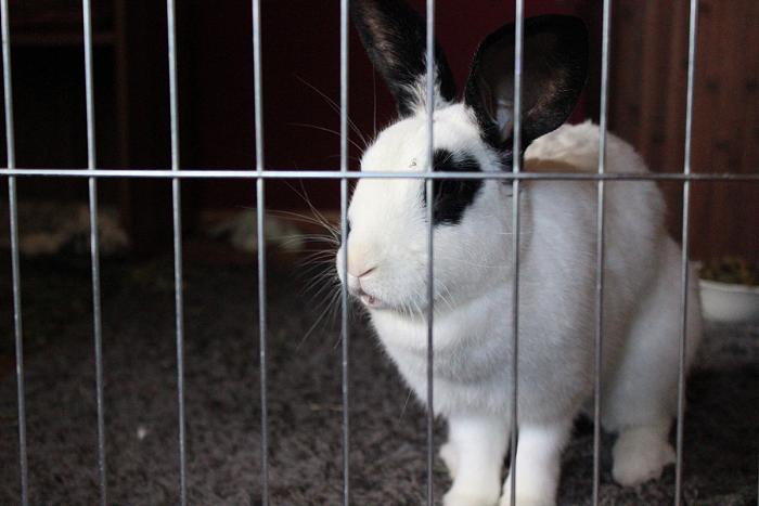 Klicke auf die Grafik f�r eine gr��ere Ansicht

Name:	IMG_5536.jpg
Hits:	0
Gr��e:	80,9 KB
ID:	182870