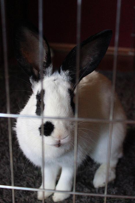 Klicke auf die Grafik f�r eine gr��ere Ansicht

Name:	IMG_5534.jpg
Hits:	1
Gr��e:	77,4 KB
ID:	182871