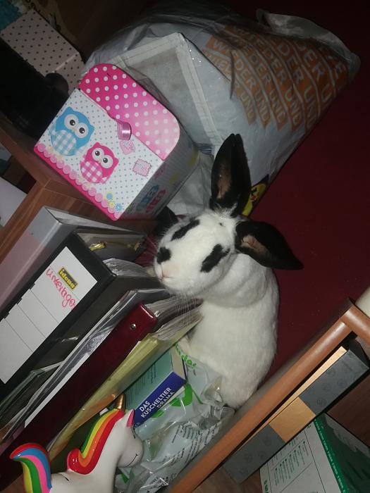 Klicke auf die Grafik f�r eine gr��ere Ansicht

Name:	IMG_20200503_025925.jpg
Hits:	1
Gr��e:	223,8 KB
ID:	182939