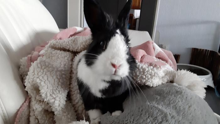 Klicke auf die Grafik f�r eine gr��ere Ansicht

Name:	20200510_132020.jpg
Hits:	1
Gr��e:	238,0 KB
ID:	183129