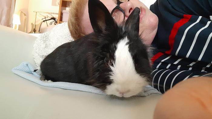 Klicke auf die Grafik f�r eine gr��ere Ansicht

Name:	20200512_191211.jpg
Hits:	0
Gr��e:	275,5 KB
ID:	183336