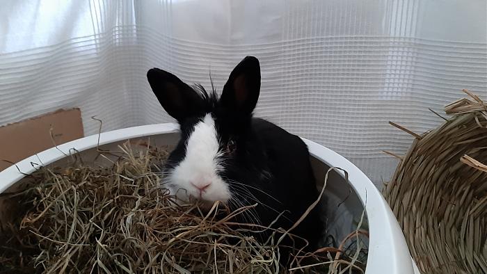 Klicke auf die Grafik f�r eine gr��ere Ansicht

Name:	20200521_102415.jpg
Hits:	1
Gr��e:	235,1 KB
ID:	183685