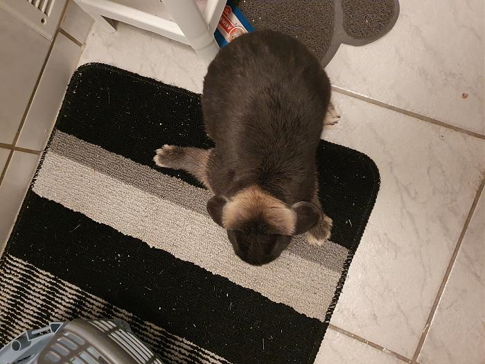 Klicke auf die Grafik f�r eine gr��ere Ansicht

Name:	20200525_204241.jpg
Hits:	1
Gr��e:	322,5 KB
ID:	183733