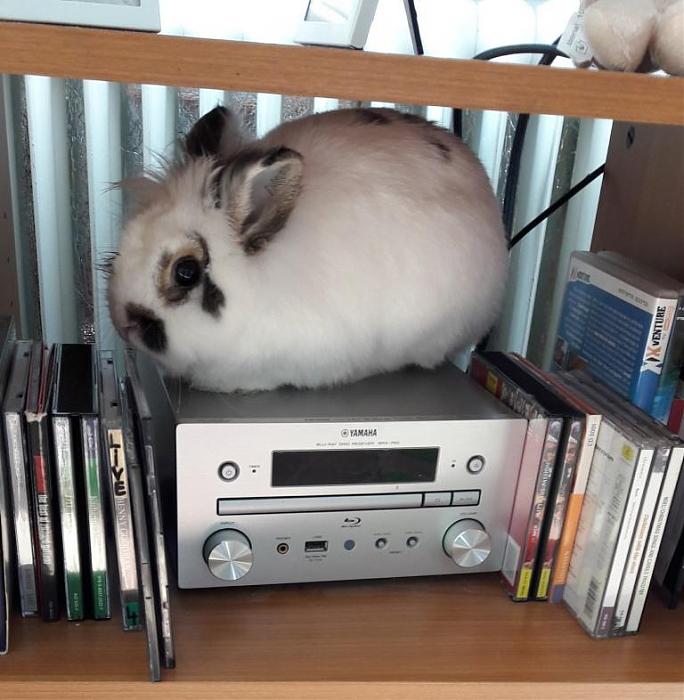 Klicke auf die Grafik fr eine grere Ansicht

Name:	Stereo-Sepp.jpg
Hits:	1
Gre:	79,9 KB
ID:	183804