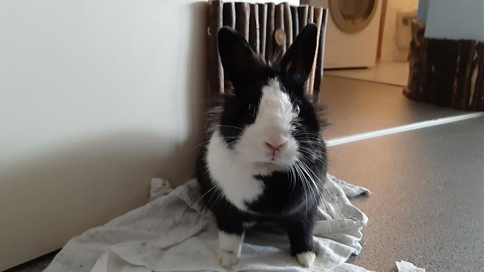 Klicke auf die Grafik f�r eine gr��ere Ansicht

Name:	20200530_122717.jpg
Hits:	0
Gr��e:	194,2 KB
ID:	183842