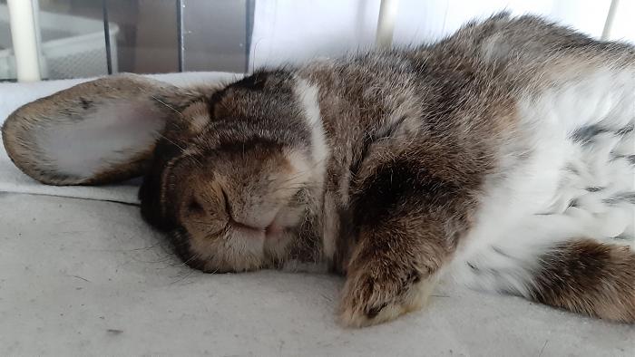 Klicke auf die Grafik f�r eine gr��ere Ansicht

Name:	20200614_135649.jpg
Hits:	1
Gr��e:	219,9 KB
ID:	184214