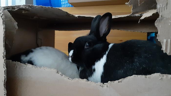 Klicke auf die Grafik f�r eine gr��ere Ansicht

Name:	20200614_090536.jpg
Hits:	1
Gr��e:	195,6 KB
ID:	184215