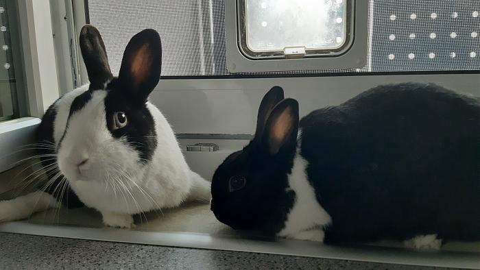 Klicke auf die Grafik f�r eine gr��ere Ansicht

Name:	20200613_062436.jpg
Hits:	0
Gr��e:	246,3 KB
ID:	184216