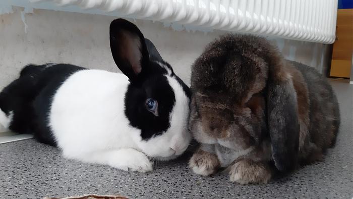 Klicke auf die Grafik f�r eine gr��ere Ansicht

Name:	20200620_122734.jpg
Hits:	0
Gr��e:	259,9 KB
ID:	184353