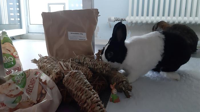 Klicke auf die Grafik f�r eine gr��ere Ansicht

Name:	20200628_091827.jpg
Hits:	1
Gr��e:	228,7 KB
ID:	184532