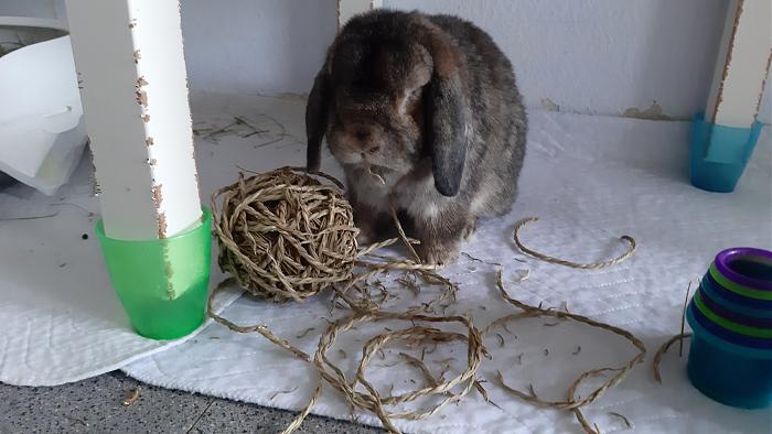 Klicke auf die Grafik f�r eine gr��ere Ansicht

Name:	20200628_125123.jpg
Hits:	0
Gr��e:	279,2 KB
ID:	184534