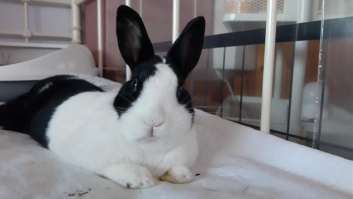 Klicke auf die Grafik f�r eine gr��ere Ansicht

Name:	20200627_201612.jpg
Hits:	0
Gr��e:	211,5 KB
ID:	184535