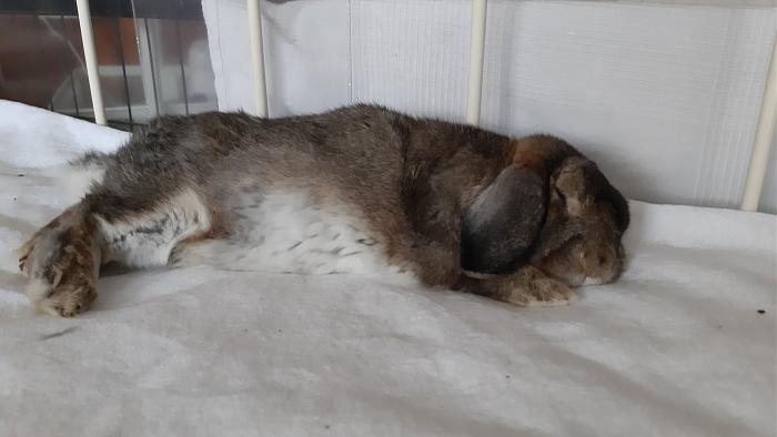 Klicke auf die Grafik f�r eine gr��ere Ansicht

Name:	20200627_162947.jpg
Hits:	0
Gr��e:	207,6 KB
ID:	184536